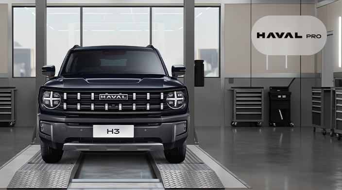 Сервис Хавейл ПРО в Москве