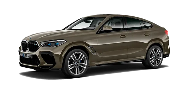 Фотография модели BMW X6 M.