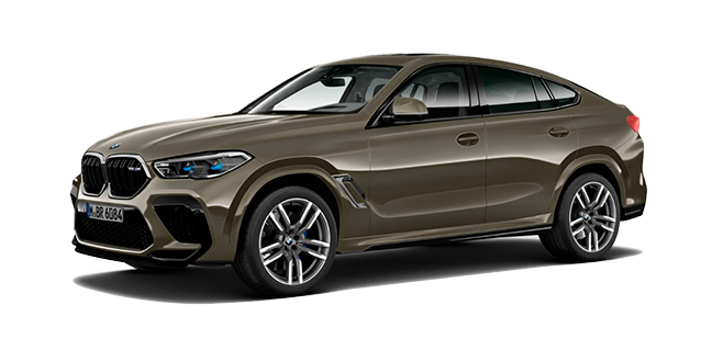 Фотография модели BMW X6 M.