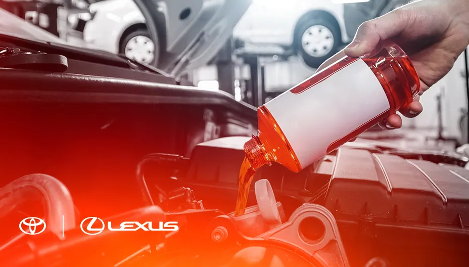 Картинка услуги.