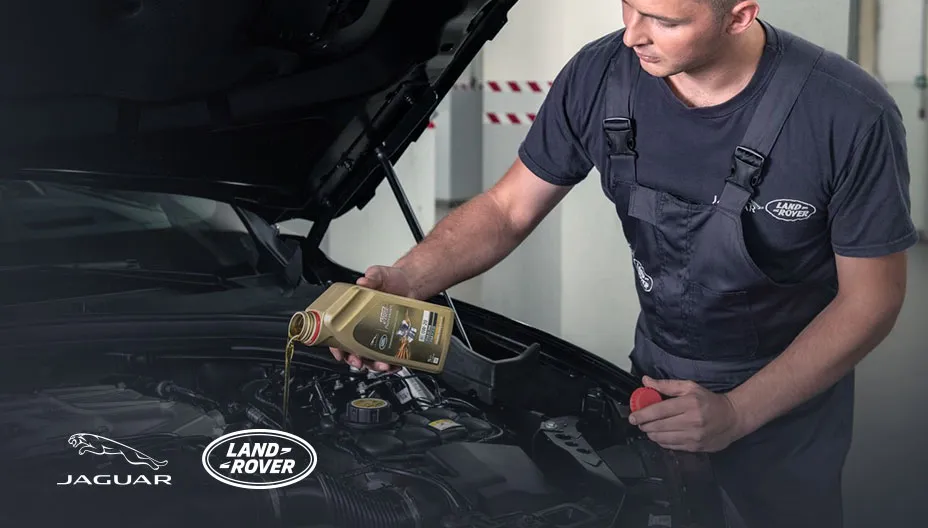 Картинка услуги.