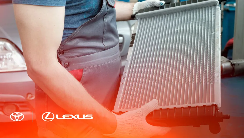 Картинка услуги.